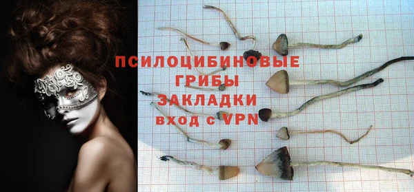 твердый Алексин