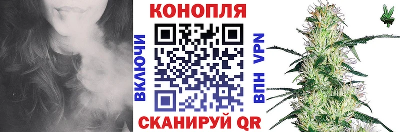 Конопля планчик Малаховка