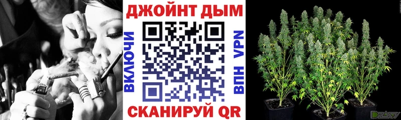 shop наркотические препараты  Малаховка  блэк спрут   Бошки Шишки OG Kush  как найти наркотики 